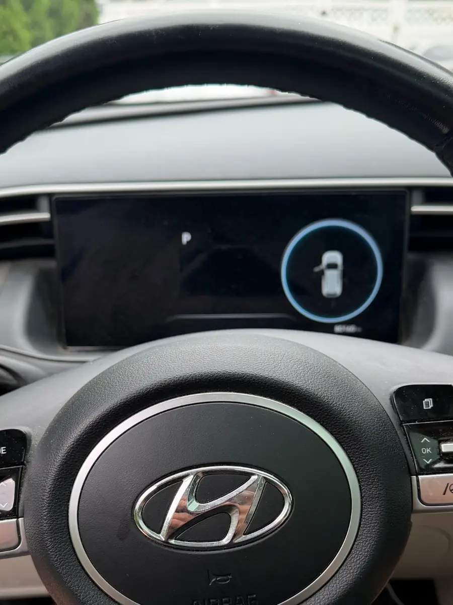 Hyundai Tucson — steering wheel and dashboard before detailing